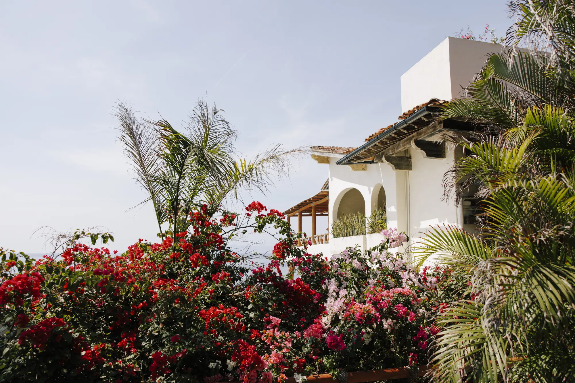 Katy & Declan Wedding Photographer in Puerto Vallarta — Photo 23 by Evgenia Kostiaeva